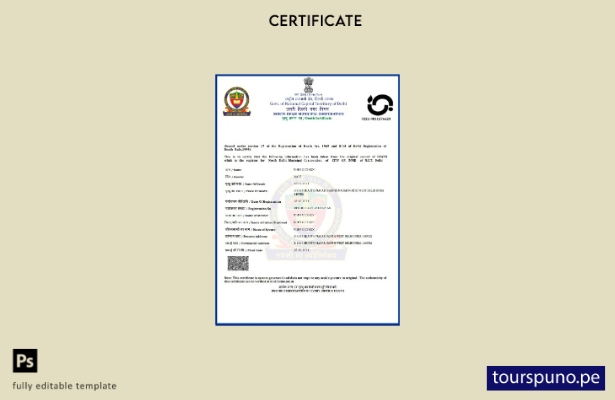 listo para imprimir plantilla de certificado de defunción del Gobierno de Delhi 